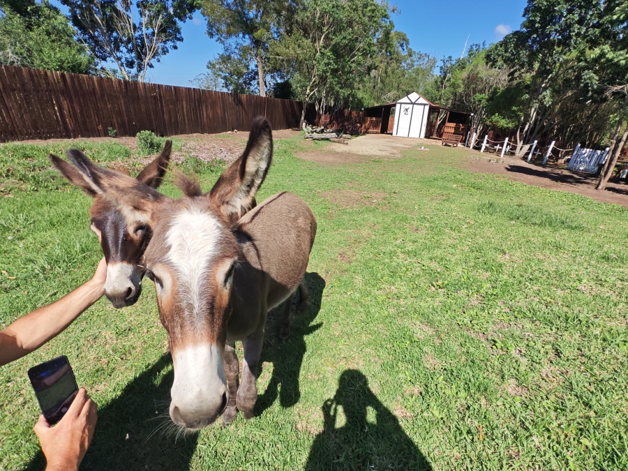 To Let 2 Bedroom Property for Rent in Rheenendal Western Cape